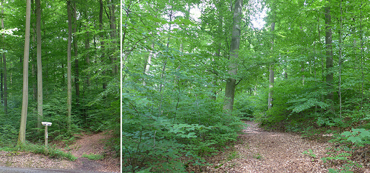 Klicke auf die Grafik für eine vergrößerte Ansicht  Name: Weserberglandweg_431.jpg Ansichten: 0 Größe: 215,7 KB ID: 3264811