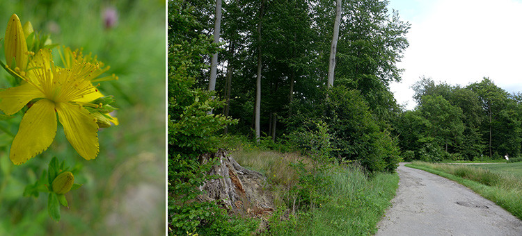 Klicke auf die Grafik für eine vergrößerte Ansicht  Name: Weserberglandweg_427.jpg Ansichten: 0 Größe: 133,1 KB ID: 3264812