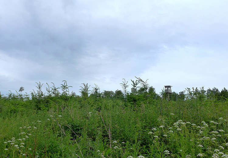 Klicke auf die Grafik für eine vergrößerte Ansicht  Name: Weserberglandweg_433.jpg Ansichten: 0 Größe: 155,1 KB ID: 3264813