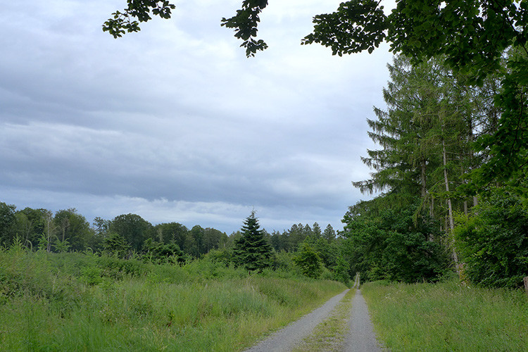 Klicke auf die Grafik für eine vergrößerte Ansicht  Name: Weserberglandweg_436.jpg Ansichten: 0 Größe: 158,6 KB ID: 3264814