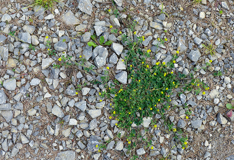 Klicke auf die Grafik für eine vergrößerte Ansicht  Name: Weserberglandweg_437.jpg Ansichten: 0 Größe: 337,0 KB ID: 3264817