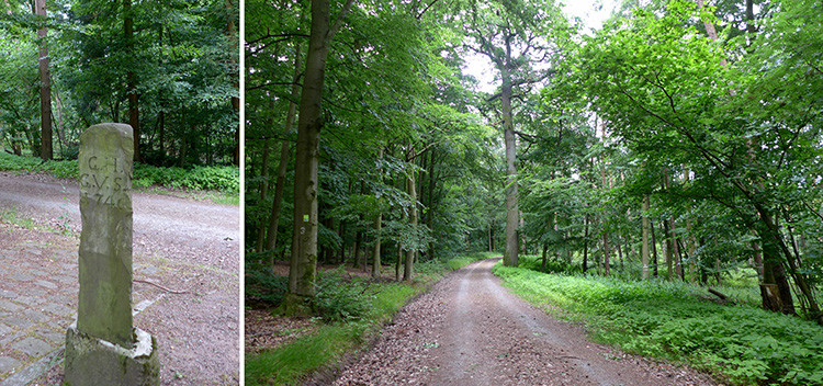 Klicke auf die Grafik für eine vergrößerte Ansicht  Name: Weserberglandweg_439.jpg Ansichten: 0 Größe: 206,0 KB ID: 3264818