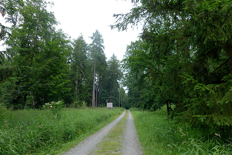 Klicke auf die Grafik für eine vergrößerte Ansicht  Name: Weserberglandweg_438.jpg Ansichten: 0 Größe: 239,0 KB ID: 3264819