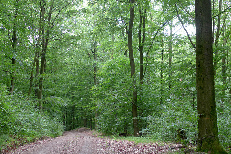 Klicke auf die Grafik für eine vergrößerte Ansicht  Name: Weserberglandweg_440.jpg Ansichten: 0 Größe: 293,4 KB ID: 3264820