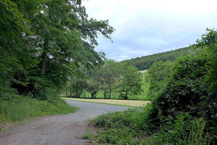 Klicke auf die Grafik für eine vergrößerte Ansicht  Name: Weserberglandweg_442.jpg Ansichten: 0 Größe: 222,3 KB ID: 3264821