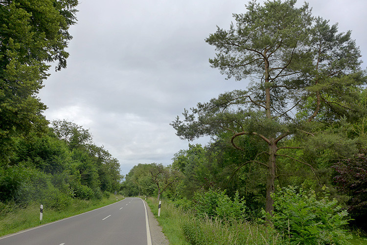 Klicke auf die Grafik für eine vergrößerte Ansicht  Name: Weserberglandweg_443.jpg Ansichten: 0 Größe: 189,8 KB ID: 3264822