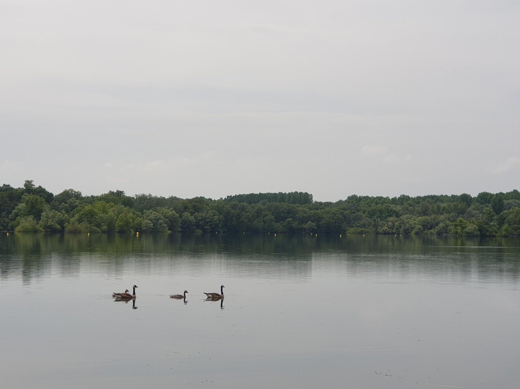 Klicke auf die Grafik für eine vergrößerte Ansicht  Name: Fermasee.jpg Ansichten: 0 Größe: 213,3 KB ID: 3265661