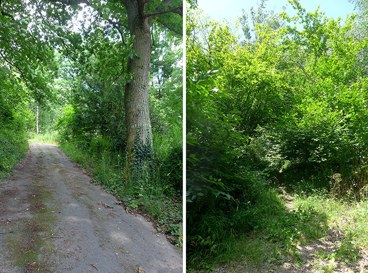 Klicke auf die Grafik für eine vergrößerte Ansicht  Name: Weserberglandweg_456.jpg Ansichten: 0 Größe: 344,6 KB ID: 3265977