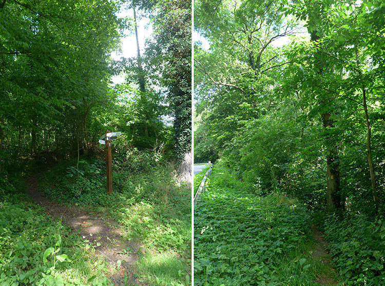 Klicke auf die Grafik für eine vergrößerte Ansicht  Name: Weserberglandweg_460.jpg Ansichten: 0 Größe: 361,2 KB ID: 3265979