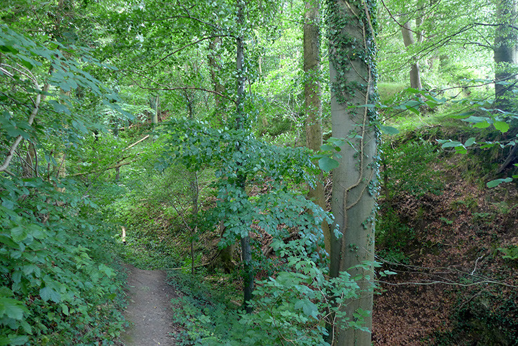 Klicke auf die Grafik für eine vergrößerte Ansicht  Name: Weserberglandweg_461.jpg Ansichten: 0 Größe: 296,6 KB ID: 3265984