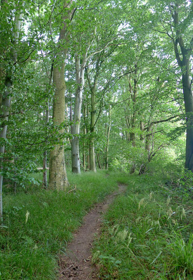 Klicke auf die Grafik für eine vergrößerte Ansicht  Name: Weserberglandweg_462.jpg Ansichten: 0 Größe: 629,9 KB ID: 3265985