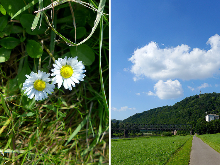 Klicke auf die Grafik für eine vergrößerte Ansicht  Name: Weserberglandweg_465.jpg Ansichten: 0 Größe: 177,7 KB ID: 3265988