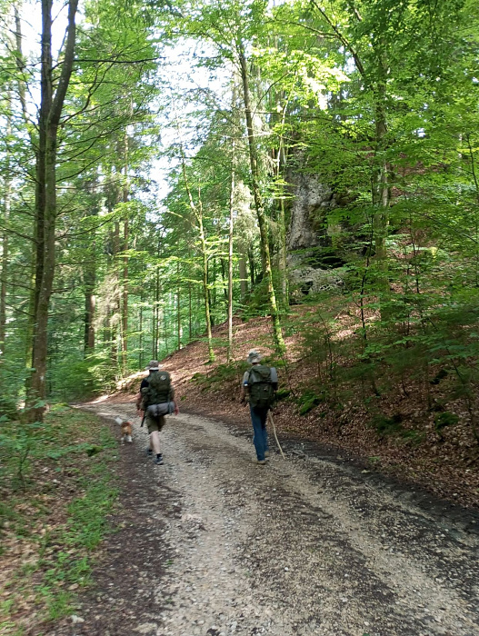 Klicke auf die Grafik für eine vergrößerte Ansicht  Name: 1719807324056-k.jpg Ansichten: 0 Größe: 864,0 KB ID: 3267312