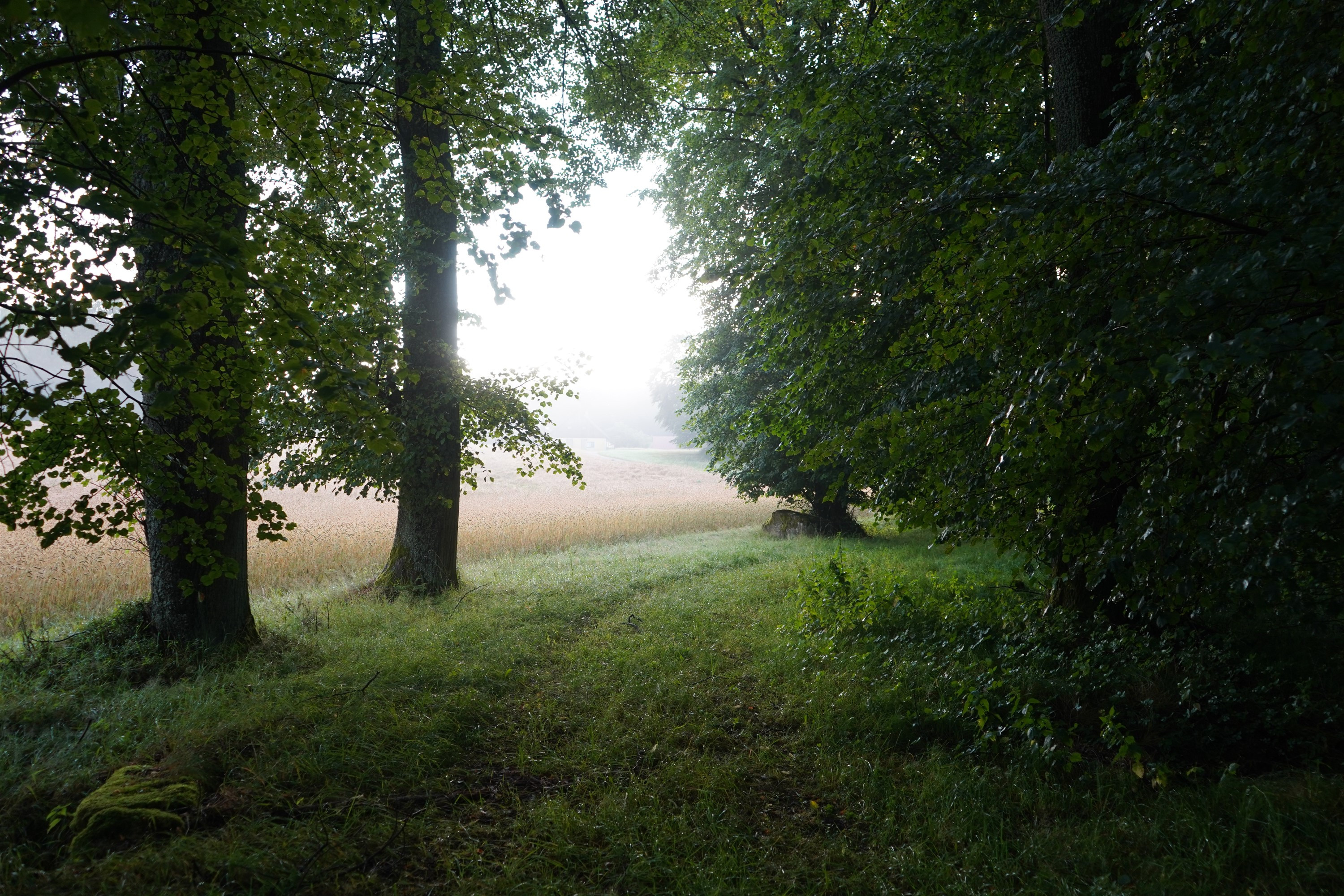 Klicke auf die Grafik für eine vergrößerte Ansicht  Name: DSC07709.jpg Ansichten: 111 Größe: 2,00 MB ID: 3269494