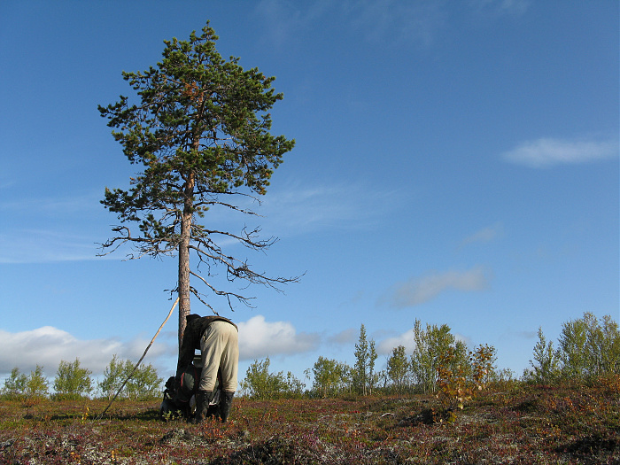 Klicke auf die Grafik für eine vergrößerte Ansicht

Name: Lappland 2008 037 (6).jpg
Ansichten: 207
Größe: 2,28 MB
ID: 3270191