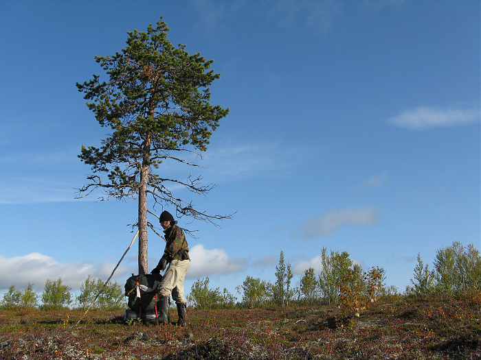 Klicke auf die Grafik für eine vergrößerte Ansicht

Name: Lappland 2008 037 (4).jpg
Ansichten: 201
Größe: 2,30 MB
ID: 3270194