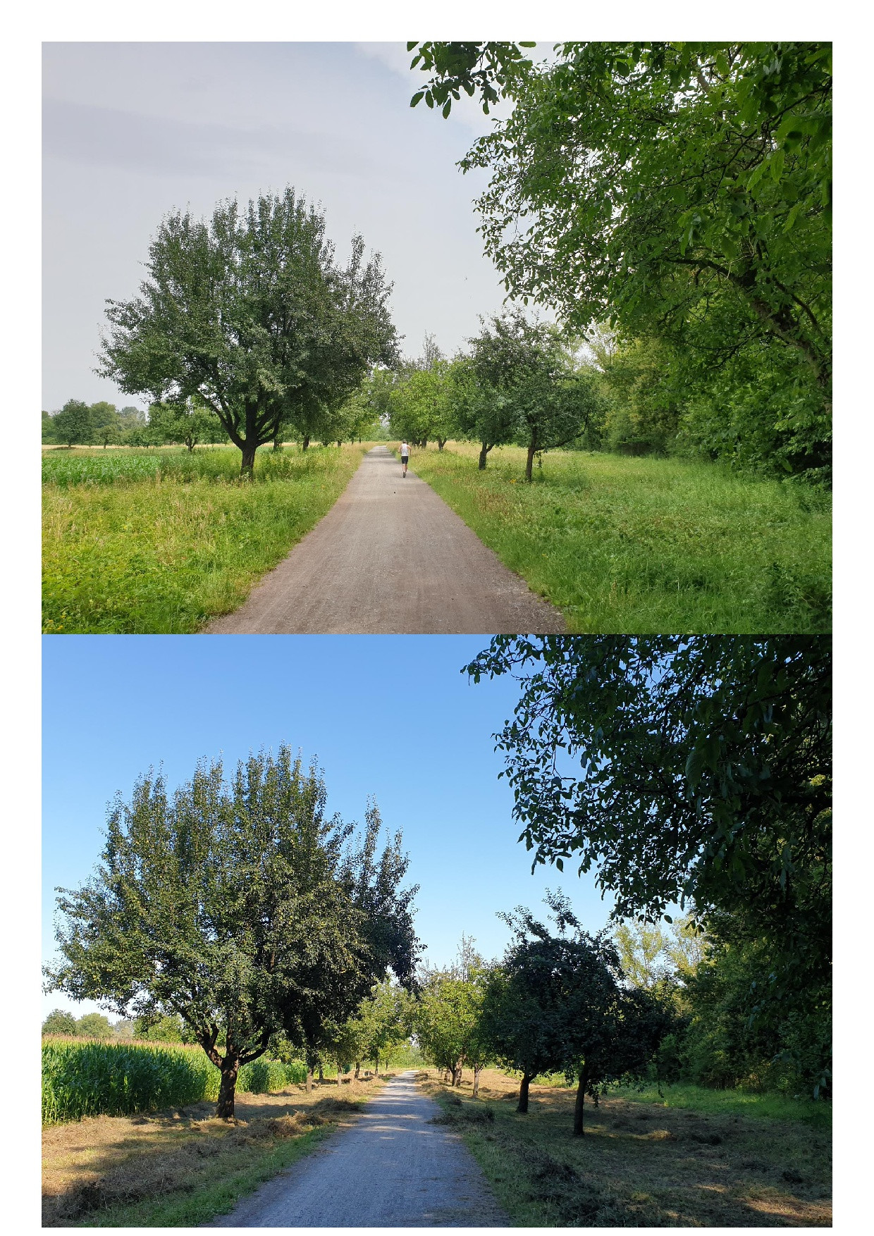 Klicke auf die Grafik für eine vergrößerte Ansicht  Name: Juni_Juli_10.jpg Ansichten: 0 Größe: 954,9 KB ID: 3270251