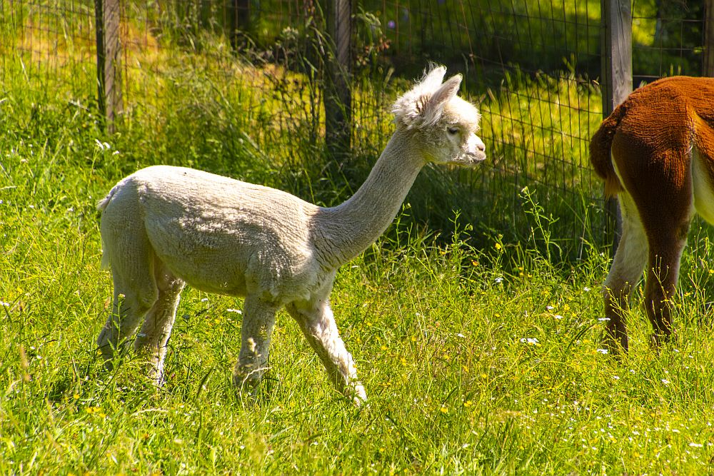 Klicke auf die Grafik für eine vergrößerte Ansicht  Name: dataurl054712.png Ansichten: 0 Größe: 1,63 MB ID: 3271910
