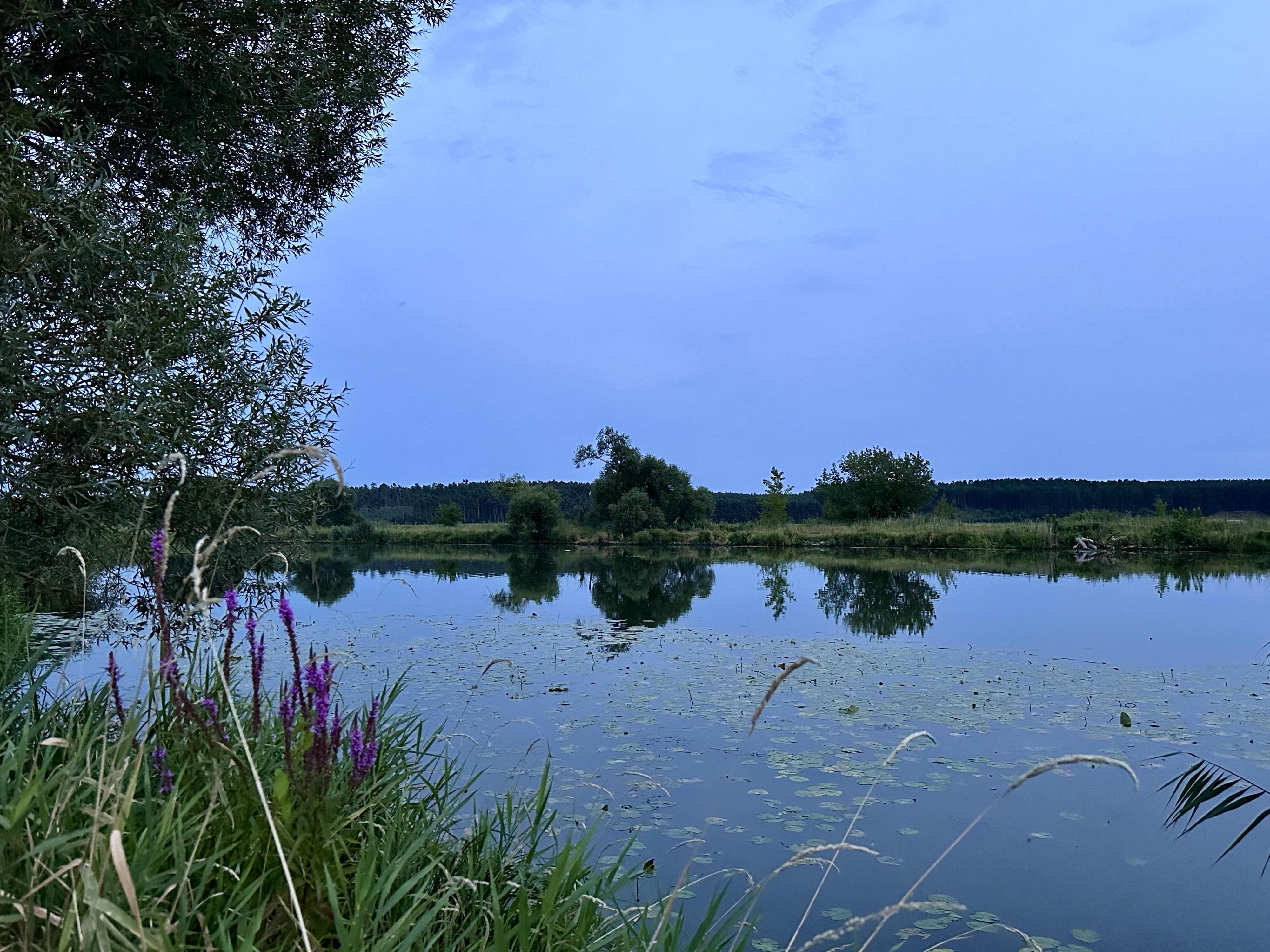 Klicke auf die Grafik für eine vergrößerte Ansicht

Name: image.jpg
Ansichten: 382
Größe: 3,79 MB
ID: 3272603