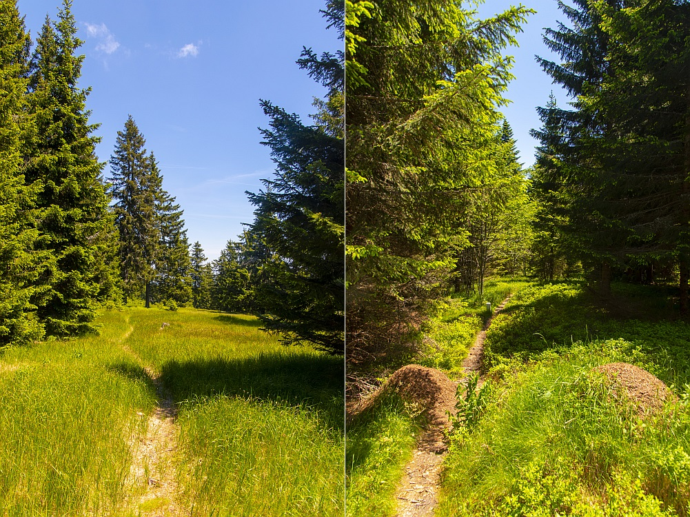 Klicke auf die Grafik für eine vergrößerte Ansicht  Name: dataurl998457.png Ansichten: 0 Größe: 1,90 MB ID: 3273768