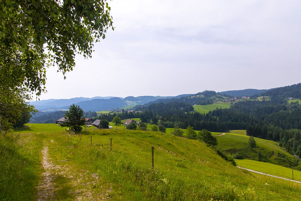 Klicke auf die Grafik für eine vergrößerte Ansicht  Name: dataurl927964.png Ansichten: 0 Größe: 1,11 MB ID: 3277539
