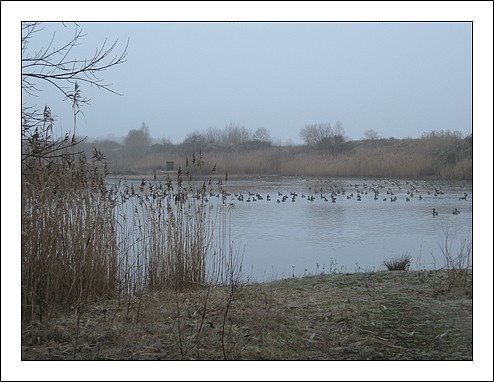 Klicke auf die Grafik für eine vergrößerte Ansicht  Name: hh-hb-baggersee-stemmen.jpg Ansichten: 0 Größe: 58,1 KB ID: 3279170
