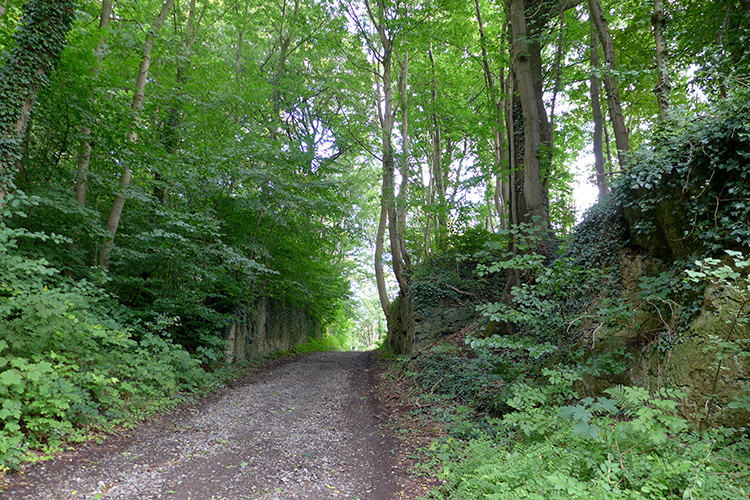 Klicke auf die Grafik für eine vergrößerte Ansicht  Name: Weserberglandweg_PortaWestfalica_08.jpg Ansichten: 0 Größe: 289,0 KB ID: 3279596