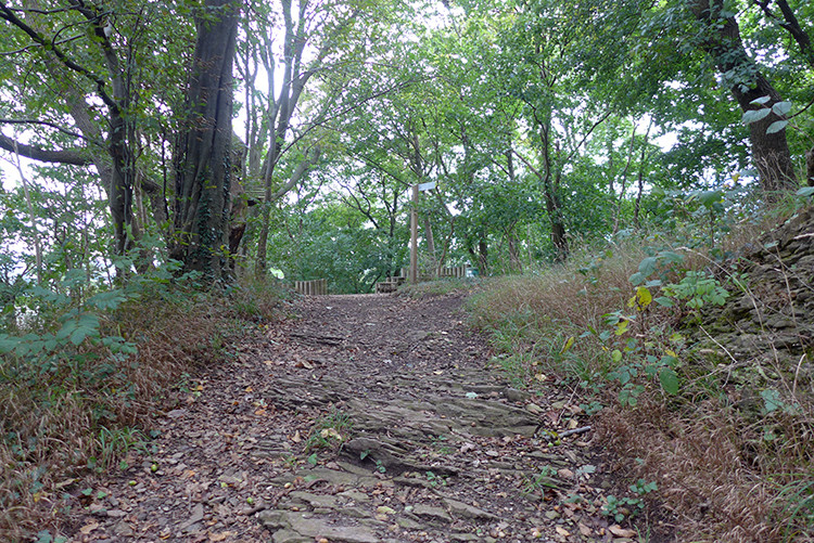 Klicke auf die Grafik für eine vergrößerte Ansicht  Name: Weserberglandweg_PortaWestfalica_11.jpg Ansichten: 0 Größe: 291,3 KB ID: 3279599