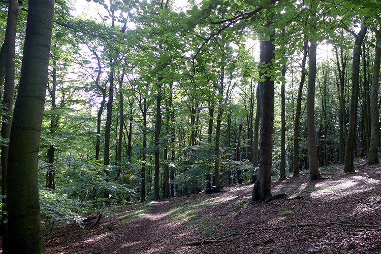 Klicke auf die Grafik für eine vergrößerte Ansicht  Name: Weserberglandweg_PortaWestfalica_17.jpg Ansichten: 0 Größe: 266,0 KB ID: 3279605