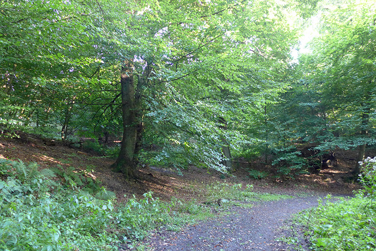 Klicke auf die Grafik für eine vergrößerte Ansicht  Name: Weserberglandweg_PortaWestfalica_19.jpg Ansichten: 0 Größe: 296,4 KB ID: 3279607
