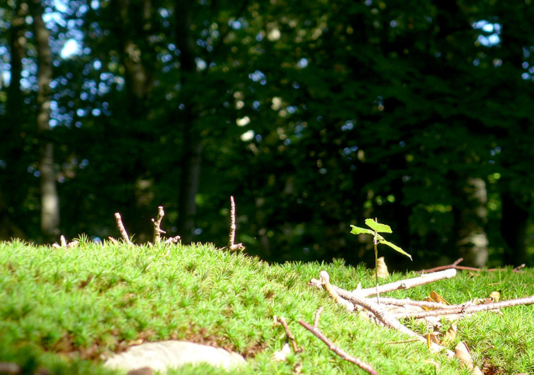 Klicke auf die Grafik für eine vergrößerte Ansicht  Name: Weserberglandweg_PortaWestfalica_24.jpg Ansichten: 0 Größe: 168,5 KB ID: 3279725