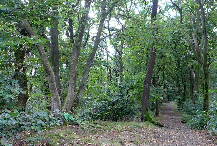 Klicke auf die Grafik für eine vergrößerte Ansicht  Name: Weserberglandweg_PortaWestfalica_25.jpg Ansichten: 0 Größe: 294,5 KB ID: 3279747
