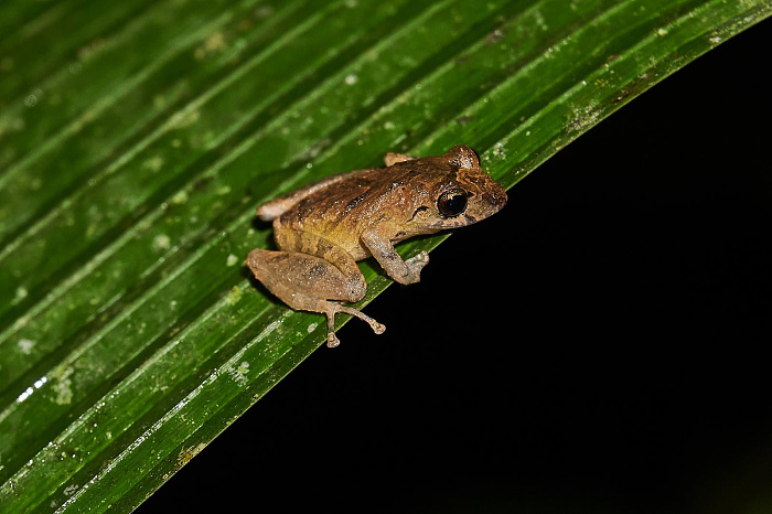 Klicke auf die Grafik für eine vergrößerte Ansicht

Name: _DSC3167 1 (Copy).jpg
Ansichten: 653
Größe: 242,7 KB
ID: 3280069