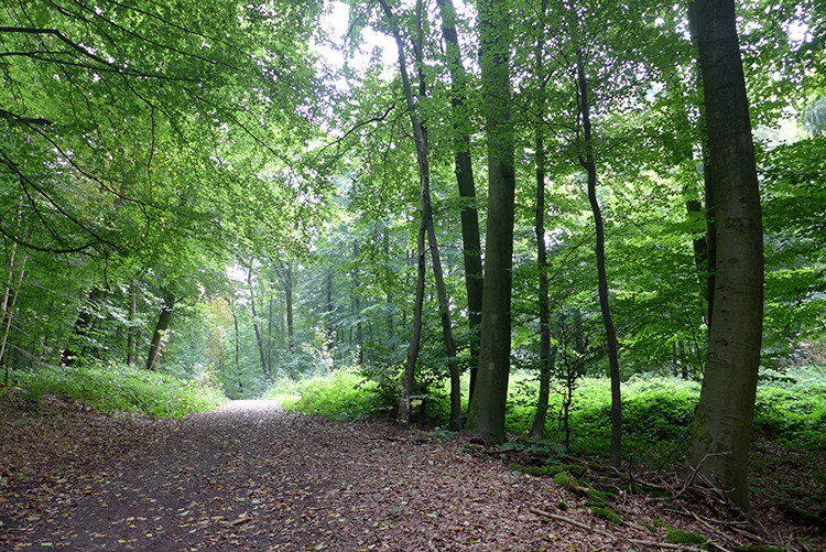 Klicke auf die Grafik für eine vergrößerte Ansicht  Name: Weserberglandweg_PortaWestfalica_28.jpg Ansichten: 0 Größe: 297,5 KB ID: 3281368