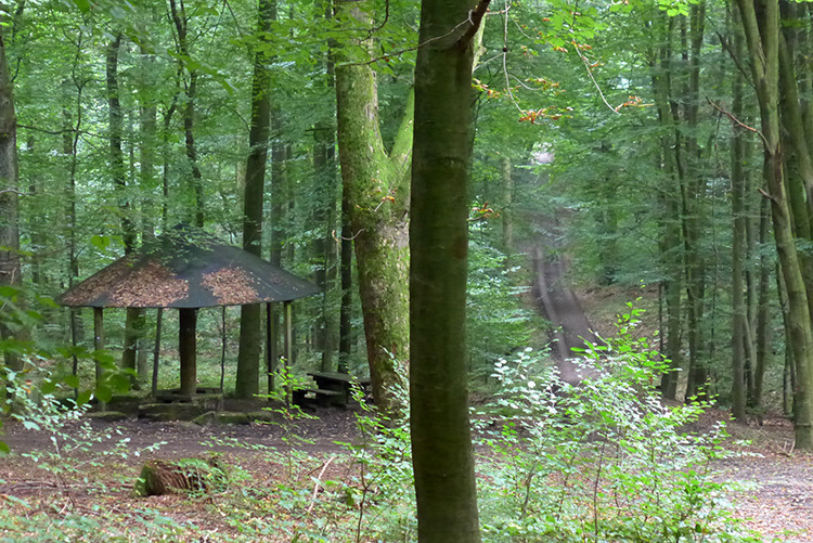 Klicke auf die Grafik für eine vergrößerte Ansicht  Name: Weserberglandweg_PortaWestfalica_29.jpg Ansichten: 0 Größe: 218,4 KB ID: 3281369
