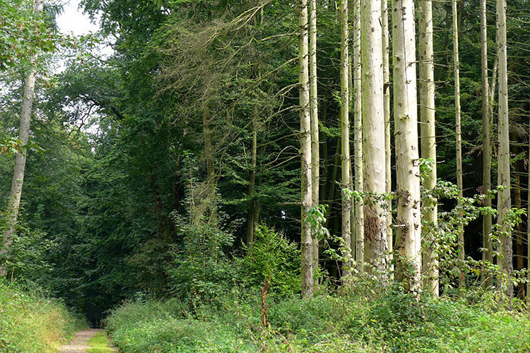 Klicke auf die Grafik für eine vergrößerte Ansicht  Name: Weserberglandweg_PortaWestfalica_31.jpg Ansichten: 0 Größe: 288,4 KB ID: 3281371