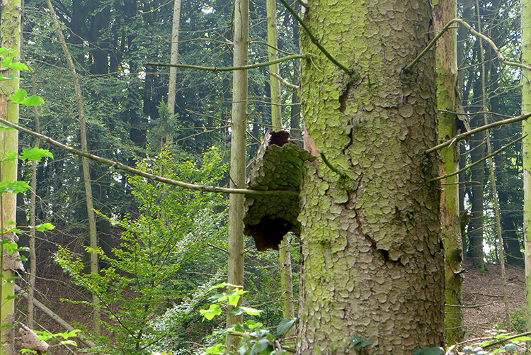 Klicke auf die Grafik für eine vergrößerte Ansicht  Name: Weserberglandweg_PortaWestfalica_32.jpg Ansichten: 0 Größe: 281,6 KB ID: 3281372
