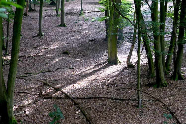 Klicke auf die Grafik für eine vergrößerte Ansicht  Name: Weserberglandweg_PortaWestfalica_33.jpg Ansichten: 0 Größe: 238,7 KB ID: 3281373