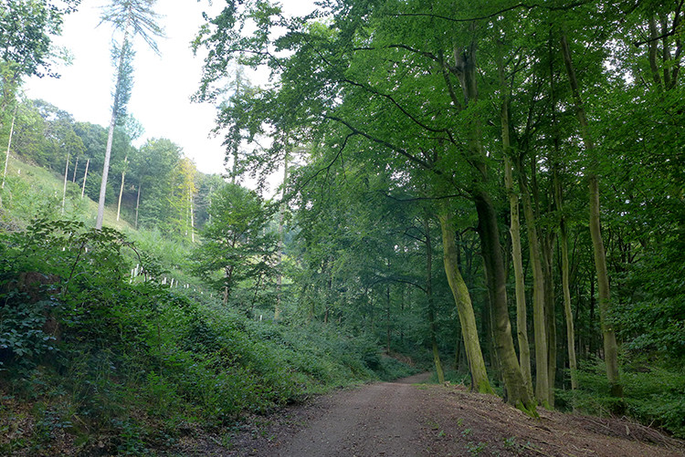 Klicke auf die Grafik für eine vergrößerte Ansicht  Name: Weserberglandweg_PortaWestfalica_35.jpg Ansichten: 0 Größe: 229,2 KB ID: 3281374