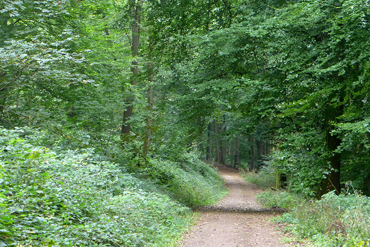 Klicke auf die Grafik für eine vergrößerte Ansicht  Name: Weserberglandweg_PortaWestfalica_34.jpg Ansichten: 0 Größe: 284,2 KB ID: 3281375