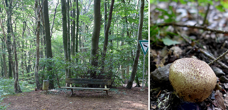 Klicke auf die Grafik für eine vergrößerte Ansicht  Name: Weserberglandweg_PortaWestfalica_38.jpg Ansichten: 0 Größe: 179,5 KB ID: 3281378