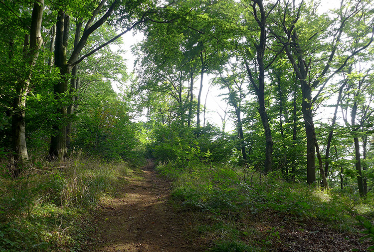 Klicke auf die Grafik für eine vergrößerte Ansicht  Name: Weserberglandweg_PortaWestfalica_39.jpg Ansichten: 0 Größe: 288,1 KB ID: 3281379