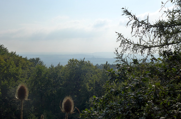Klicke auf die Grafik für eine vergrößerte Ansicht  Name: Weserberglandweg_PortaWestfalica_41.jpg Ansichten: 0 Größe: 147,6 KB ID: 3281381