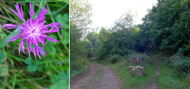 Klicke auf die Grafik für eine vergrößerte Ansicht  Name: Weserberglandweg_PortaWestfalica_44.jpg Ansichten: 0 Größe: 139,6 KB ID: 3281384