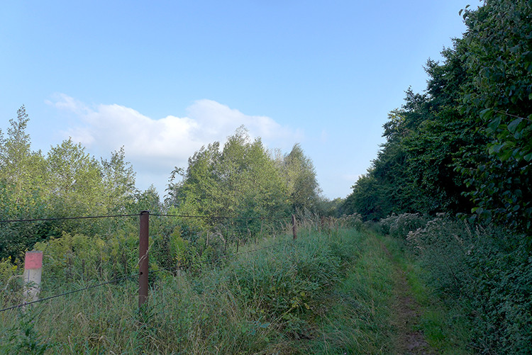 Klicke auf die Grafik für eine vergrößerte Ansicht  Name: Weserberglandweg_PortaWestfalica_45.jpg Ansichten: 0 Größe: 170,0 KB ID: 3281385