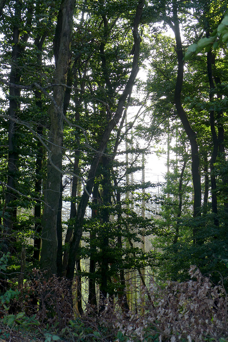 Klicke auf die Grafik für eine vergrößerte Ansicht  Name: Weserberglandweg_PortaWestfalica_46.jpg Ansichten: 0 Größe: 566,1 KB ID: 3281386