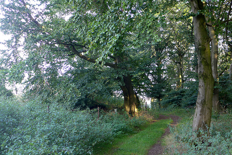 Klicke auf die Grafik für eine vergrößerte Ansicht  Name: Weserberglandweg_PortaWestfalica_48.jpg Ansichten: 0 Größe: 298,2 KB ID: 3281388