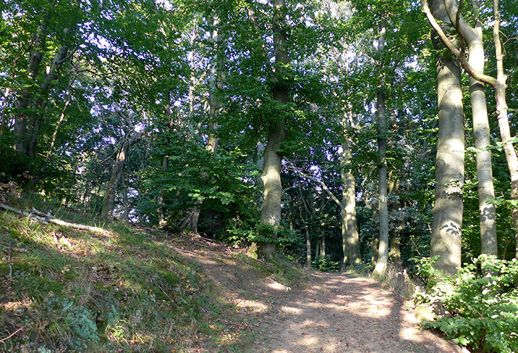 Klicke auf die Grafik für eine vergrößerte Ansicht  Name: Weserberglandweg_PortaWestfalica_51.jpg Ansichten: 0 Größe: 310,0 KB ID: 3281391