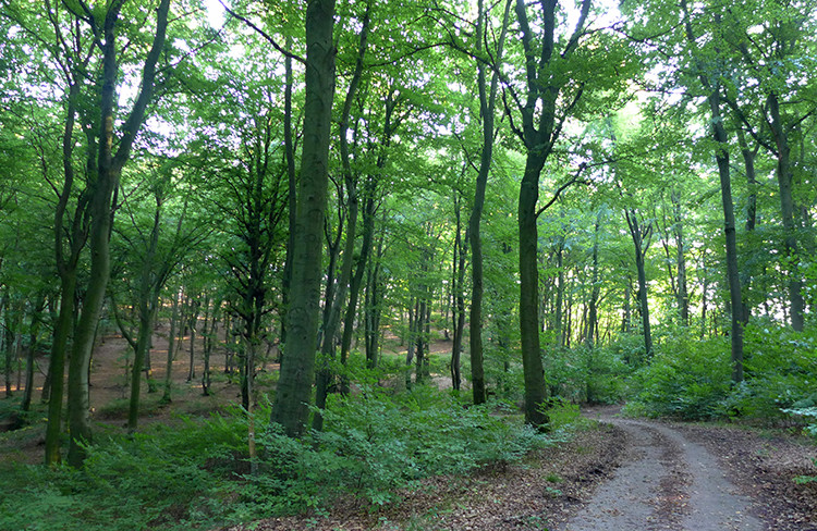 Klicke auf die Grafik für eine vergrößerte Ansicht  Name: Weserberglandweg_PortaWestfalica_52.jpg Ansichten: 0 Größe: 264,1 KB ID: 3281392