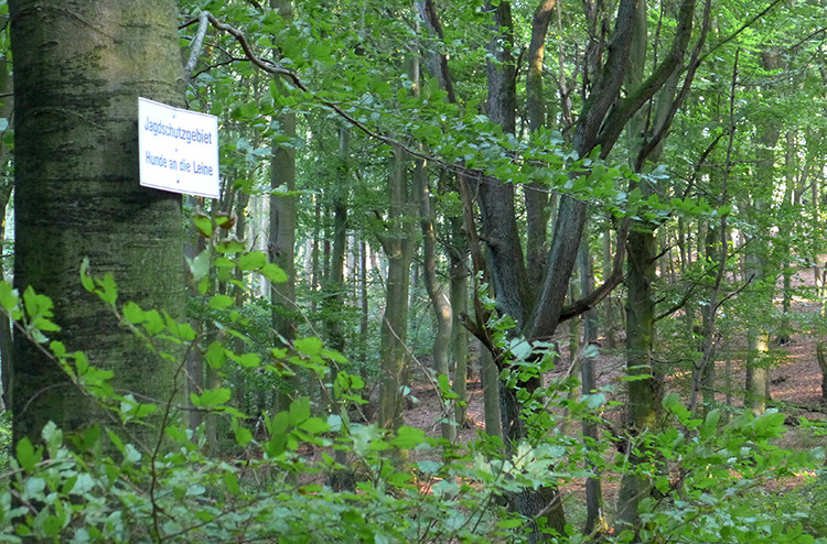 Klicke auf die Grafik für eine vergrößerte Ansicht  Name: Weserberglandweg_PortaWestfalica_53.jpg Ansichten: 0 Größe: 216,1 KB ID: 3281393